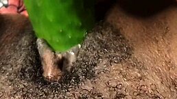 I am Cyndy Blackslave getting fucked by cucumber until squirt.