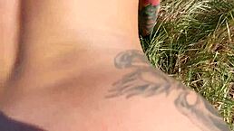 Felicity feline enjoys outdoor public relaxation