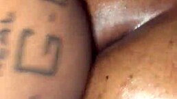 Juicy Oiled Big Ass BBW Ebony Babe Gets Fucked Hard