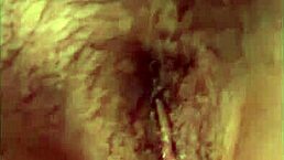 i woke up, watched some porn, and my vagina got all wet