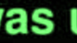 Ebony Cougar Army Lady