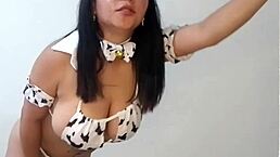 sexy latina in cow costume talks dirty with wet pussy 😏