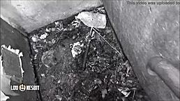 watch lou nesbit spit on lia louise's ass while dominating 😈