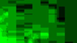 Avec Noir In Intense Bareback Transsexual Action