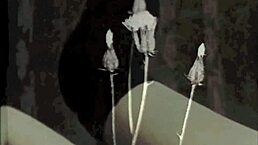 Check out this vintage lesbian threesome