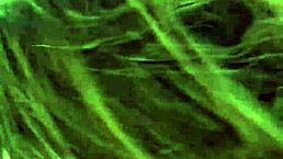 她超爱！只舔头POV Sarah Rosa