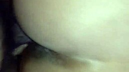 Does king sauce creampie ebony?