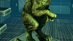 Year Of The Rabbit Celebration