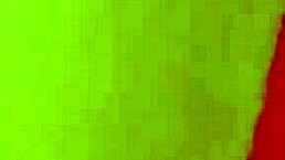 BBW transsexual takes monster cock in ass