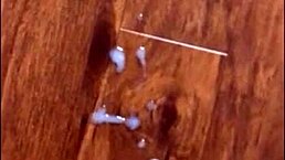 Hot inked tranny rides dildo outdoors. Her big cock bounces with every thrust.