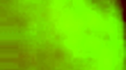 Young ebony couple fucks amateur pussy and ass in homemade video