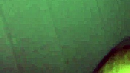 Is This The Best Blowjob Ever?