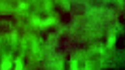 Shemale Porn Video Mmm Me Gustan Los Zapatos!