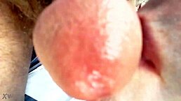 I sucked him off outdoors, he came in my mouth  