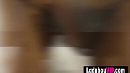 Passion in thai ladyboy's hands free blowjob