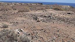 davcina fa un pompino allaperto a un ragazzo conosciuto su tinder di tenerife