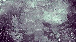 Discover Hannah's Erotic Confessions In This Victorian Gentleman's Secret Life.