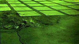 Big Ass Brazilian Teen 18+ Domination