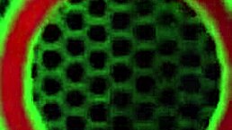 Does busty blonde milf Vicky Vette love cum on her tits?