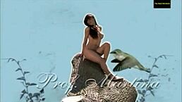 the last semester playboy tv episode with wilma gonzalez andrea rincon valeria silva patricia fierro viviana castrillon victoria rodriguez lucia cabello veronica manso pabla thomen