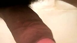 gay video mov 0373 1 with intense action