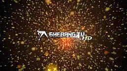 Two hot girls kiss and masturbate in stockings