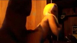 Hot teen sex tape shows cute amateur getting pounded hard