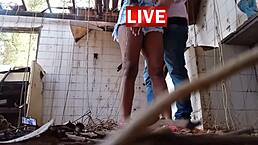 letting my cousin do anything in the mansion