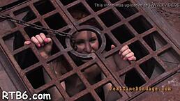 free hardcore sadomasochism porn video collection