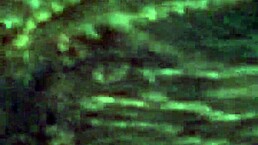 Good Head and Deepthroat Facial