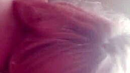 Fucking My Pet On A Leash?