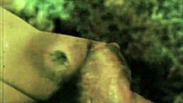 dark lantern presents a sea voyage from my secret life