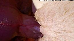 bent over for pail pussy fuck and ass play