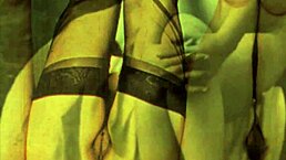 dark lantern presents a sea voyage from my secret life