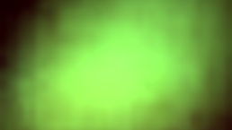 What Happened At The 4th Of July Celebration 2019?