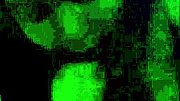 Didn't like the movie? Let me suck your cock