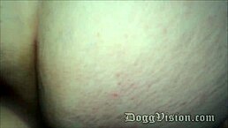 Watch the cheating neighbor get fucked in the garage?