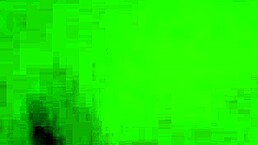 Brunette Feels Intense Pleasure Sucking Cock To Cumshot.