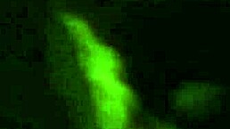 Bruna's legs in spandex highlight her panties