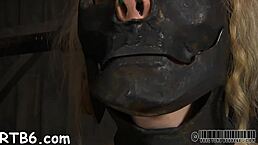 Free Sadomasochism Sex Videos