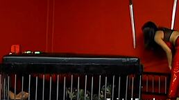 you are nothing but a piece of trash to me in this femdom bdsm humiliation