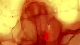 what a night of passion it was!