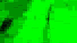 gay black tony deepthroats white dick