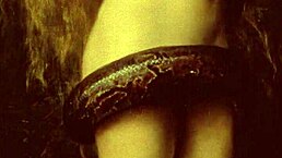 Vintage Erotic Art in Retro Cartoon Style