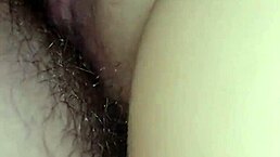 Accidental Creampie In Hentai!