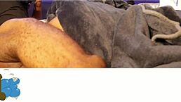 Step sister spends the night with step brother trailer 1