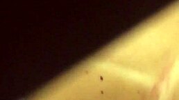 my wife's big tits are so cute