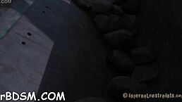 Babe enjoys blowjob before rough pussy play