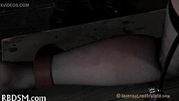 Extreme Video Tube Collection