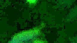 Feeling intense pleasure from amateur deepthroat blowjob